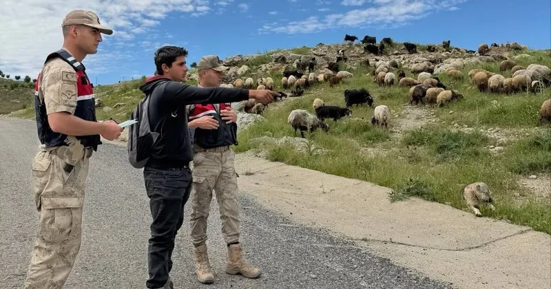 Batman’da Jandarma, Kurban Bayramı öncesi hırsızlara karşı besicileri uyardı