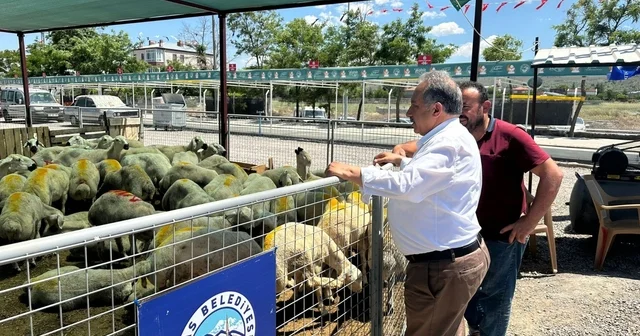 Talas ta kurban pazarına yoğun ilgi Kayseri Haberleri