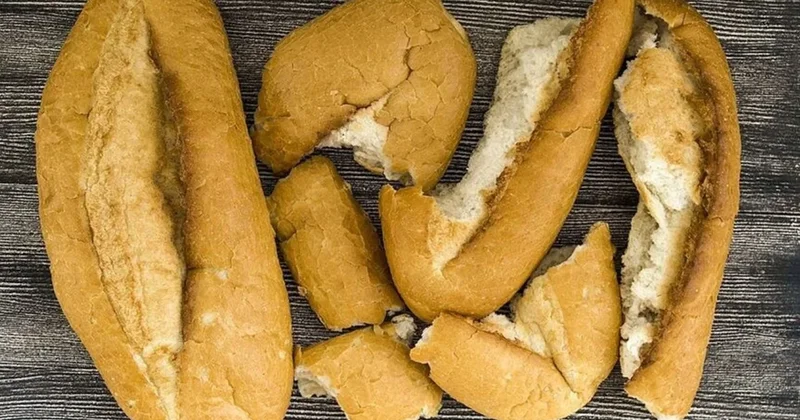 Bayat ekmeklerden ilaç ve plastik üretecekler Sözcü Gazetesi
