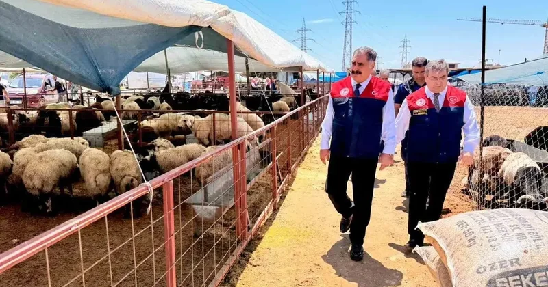 Mersin’de Kurban Bayramı öncesi satış noktalarında sıkı denetim
