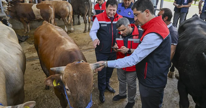 Kurban Bayramı öncesi 4 milyonu aşkın hayvan denetlendi