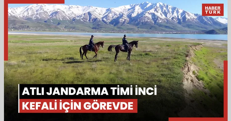 Van da atlı jandarma timi inci kefali için görevde
