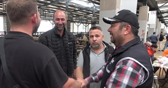 Kurban pazarında güldüren anlar :Mali Polis çetin pazarlığa dahil oldu Kurban pazarına sahte para denetimi, polisten ders niteliğinde uygulamalı eğitim Kurban pazarlığına polis de dahil oldu sahte para denetimi kamerada Bursa Haberleri