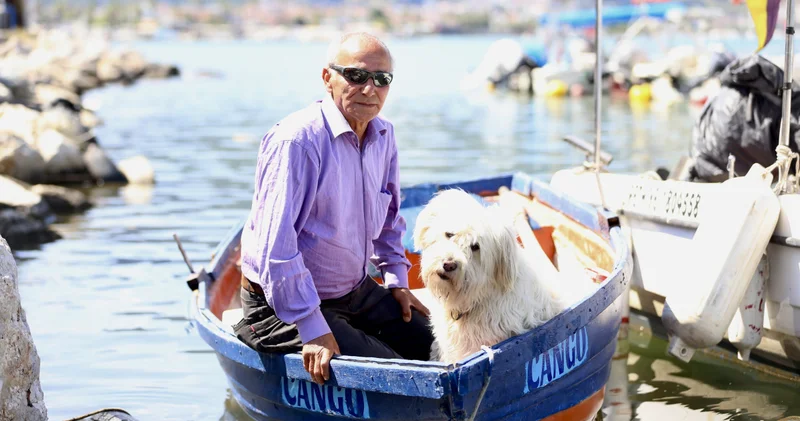 Can dostu Cango ile denize açılıyor! Her söylediğimi anlıyor