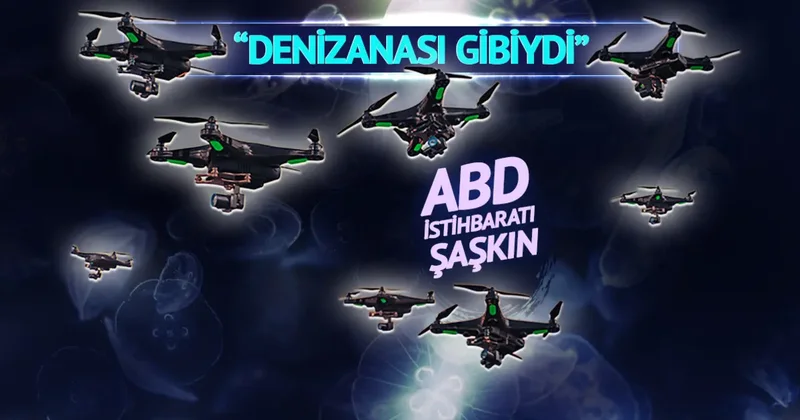 Amerikan pilotun düşmeden önce İran semalarında gördükleri ABD istihbaratını karıştırdı: Denizanası gibiydiler