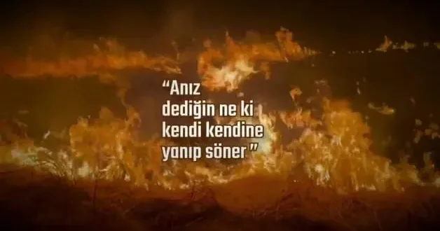 Tarım ve Orman Bakanlığı uyardı: Ufak ihmaller geleceğimizi küle çeviriyor