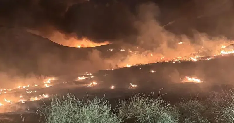 Mersin de çöplük alanda yangın
