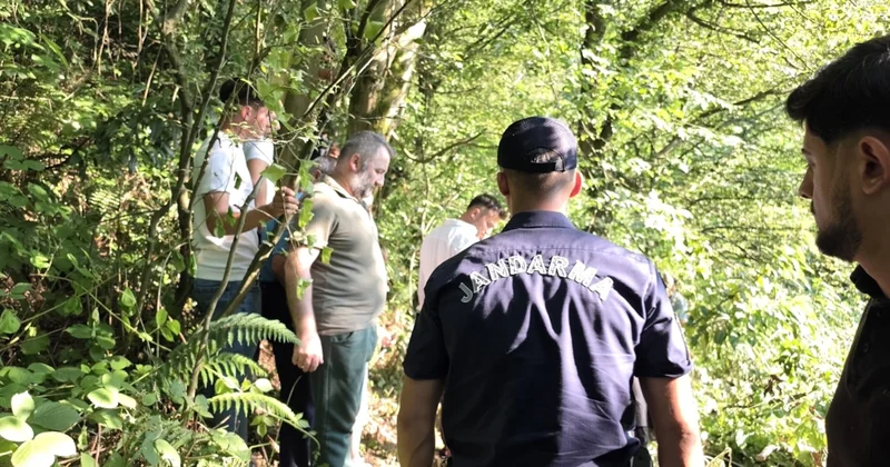 Ihlamur toplamaya çıktı, ormanlık alanda ölü bulundu Sözcü Gazetesi