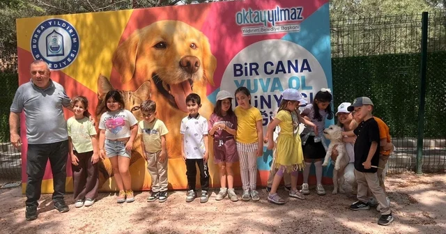 Sahipsiz sokak hayvanları tedavi merkezi ve doğal yaşam alanı, öğrencileri ağırladı Bursa Haberleri Habertürk Yerel Haberler