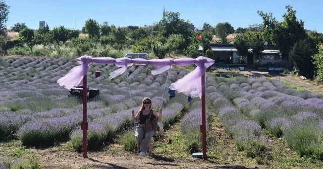 Tekirdağ lavanta kokusuna büründü: Mor tarlalarda festival coşkusu başladı VİDEO İZLE