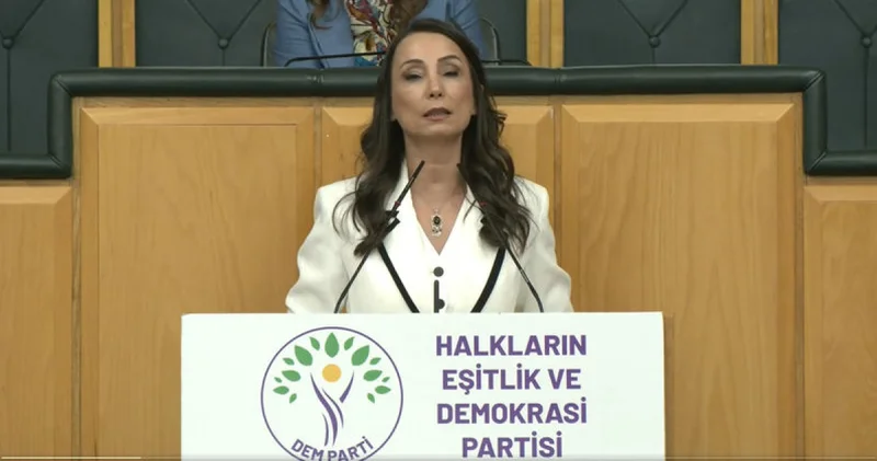 DEM Partili Hatimoğulları: Çerçeve yasanın acilen çıkması lazım Son dakika haberleri