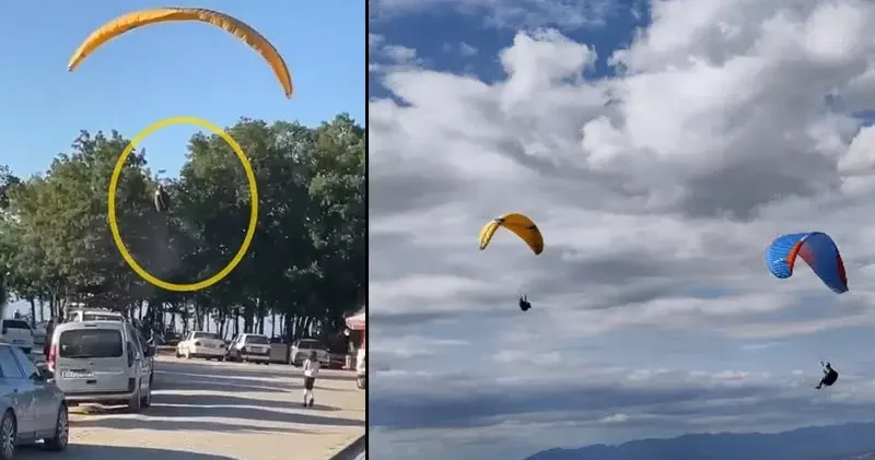 Paraşütçünün ağaca kontrollü inişi, çevredekileri endişelendirdi