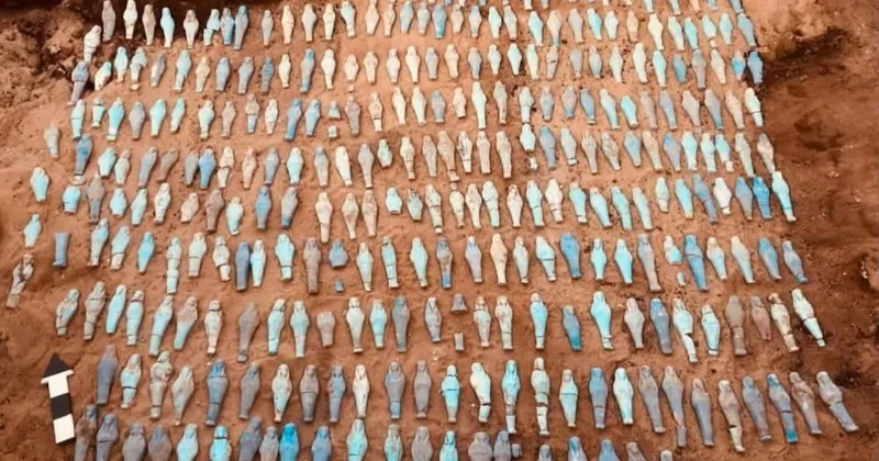 560 tanesi birden bulundu: Hepsi tek bir amaç için yerleştirilmiş Sözcü Gazetesi