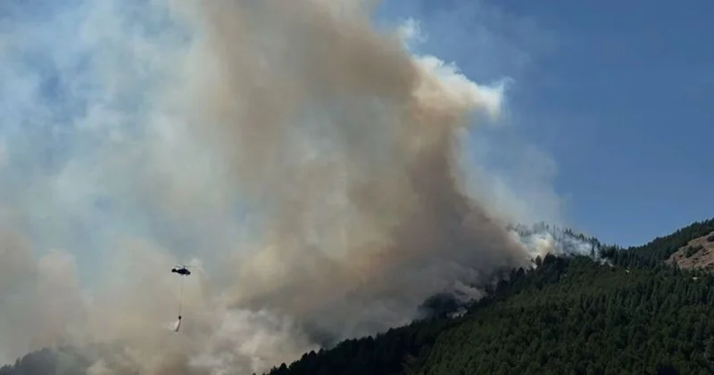 Adıyaman da ve Balıkesir de orman yangını Son dakika haberleri