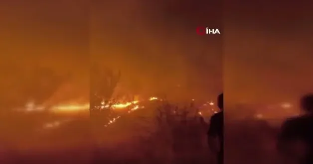 Diyarbakır’da orman yangını: Alevler yerleşim yerine ilerliyor