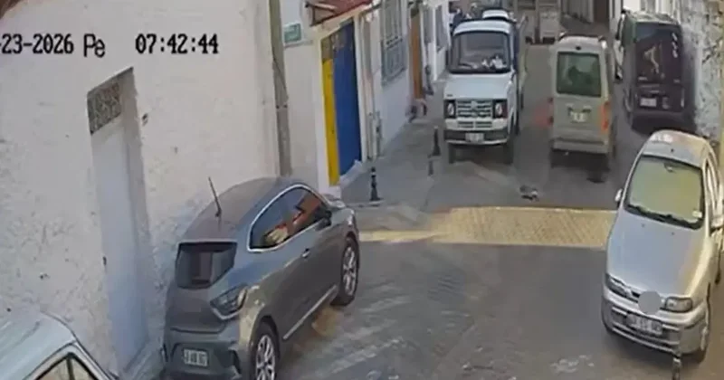 İki sokak kedisini ezdi, arkasına bile bakmadan uzaklaştı