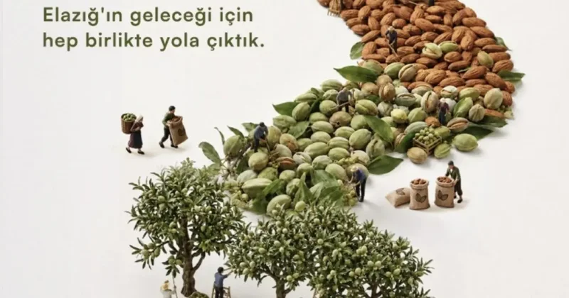 Elazığ ın taşlık yamaçları bademle yeşerecek: ÇEKUD dan 20 bin fidanlık seferberlik