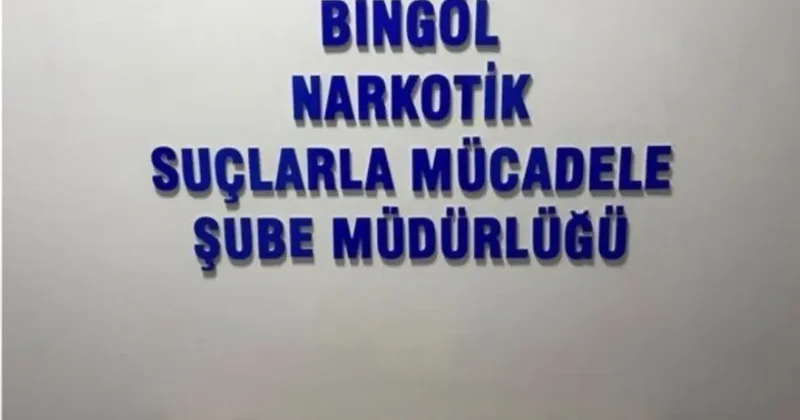 Bingöl’de 600 fişek ele geçirildi: 1 tutuklama