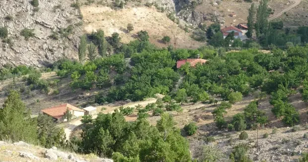 Malatya haberleri Aysel in cinayete kurban gittiği ortaya çıkmıştı! Kayıp ceset aranıyor 23 Temmuz 2026