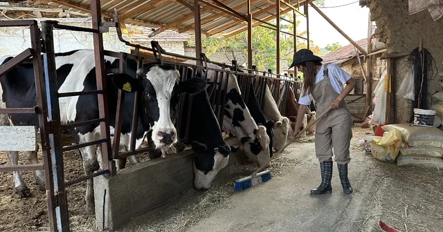 Babasının geçirdiği iş kazasıyla çiftliğin yükü omuzlarına bindi, o ise üretmekten vazgeçmedi Babasının geçirdiği kaza ile 15 yaşında çiftliğin yükünü sırtladı Burdur Haberleri Habertürk Yerel Haberler