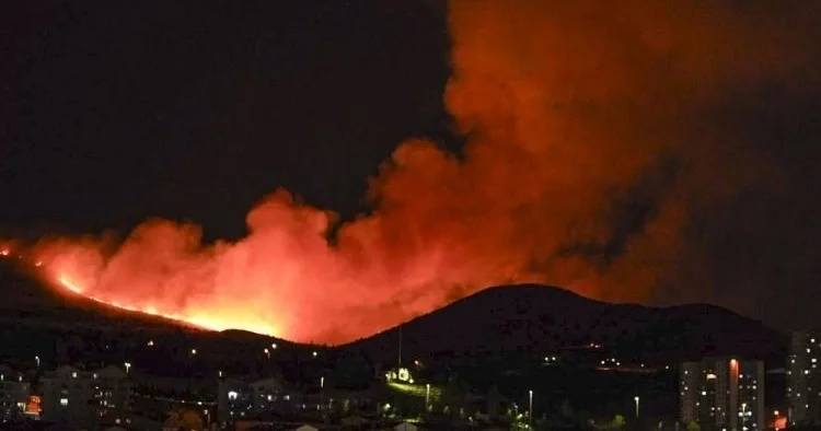 Başkent te ağaçlık alanda yangın