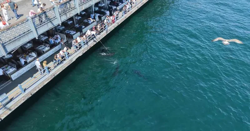 Boğazın devleri Eminönü kıyısında