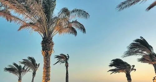 FUNDA KARAYEL Ada eğleniyor, altyapı ağlıyor