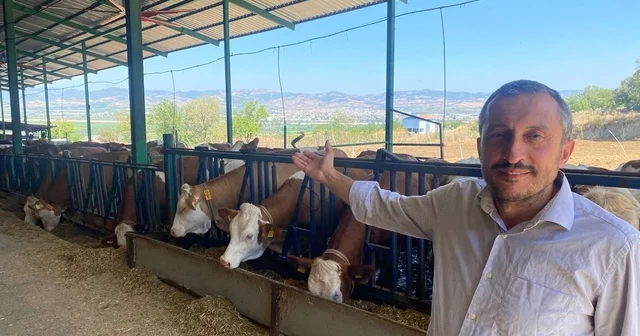 Kaliteli süt nasıl olmalı Bursa da Avrupa standartlarında süt hayvancılığı yapılıyor Bursa Haberleri Habertürk Yerel Haberler