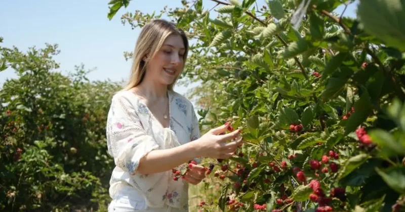 ABD de gördü aile çiftliğine ekti: Genç kadın şimdi servet kazanıyor