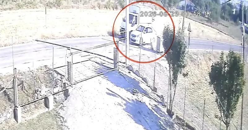 Kamyoneti sollayan otomobil başıboş sokak köpeğine çarptı