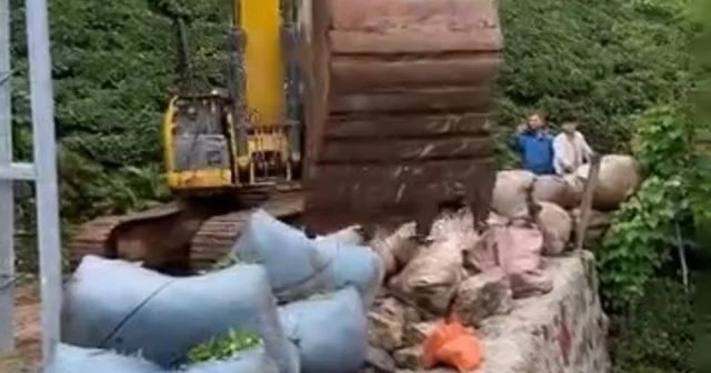 Rize de iş makinesiyle çay taşıma operasyonu Çayı bahçeden yola iş makinesi ile taşıdılar Rize Haberleri Habertürk Yerel Haberler