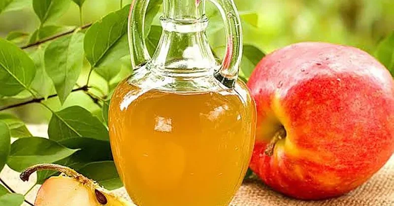 İDİL AÇIKALIN Sirkeden gelen şifa