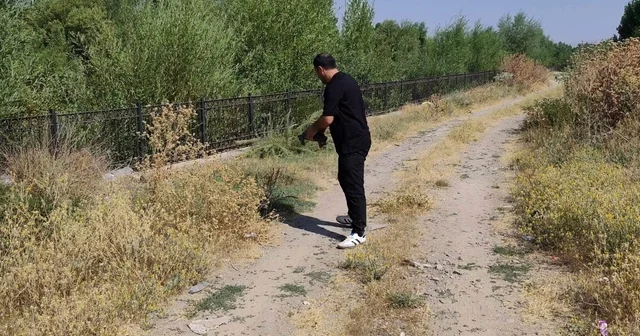 Yoldaki kaplumbağayı duyarlı vatandaş kurtardı Muş Haberleri Habertürk Yerel Haberler