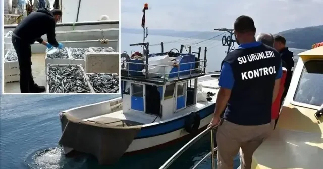 Bakanlıktan su ürünlerine denetim: 10 ayda 127 milyon lira ceza kesildi Ekonomi Haberleri