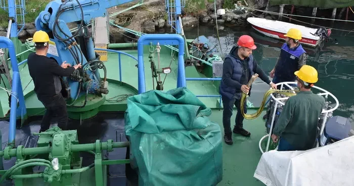 Karadeniz de balık stoklarının araştırılmasına yönelik çalışmalar devam ediyor