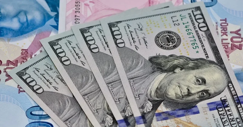 Dolar 42 liraya merdiven dayadı Sözcü Gazetesi
