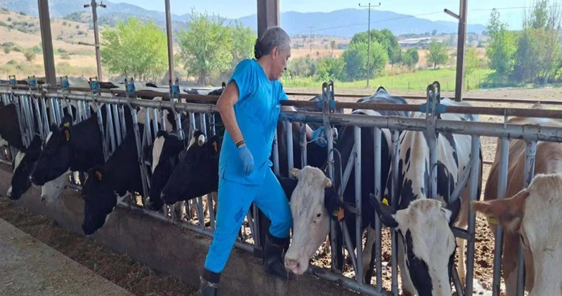 Kentte alarm; 9 mahalle karantinaya alındı!