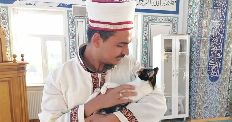 Kedileri leğende yıkayan imam hayvan sevgisiyle örnek oluyor