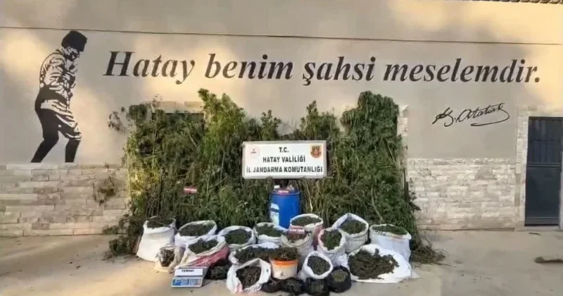 Hatay da zehir yuvasına operasyon: Onlarca kilo esrar ele geçirildi Sözcü Gazetesi