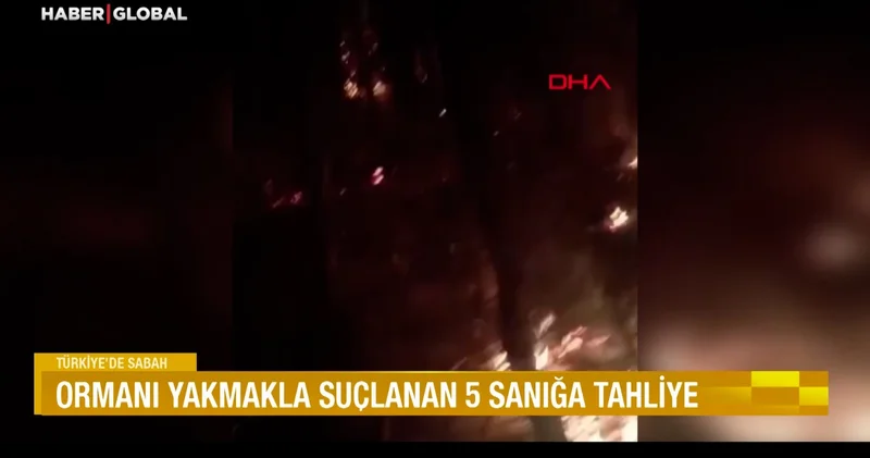 Ormanı yakmakla suçlanan 5 sanığa tahliye: Define ararken ormanı yaktıkları iddiasıyla tutuklanmışlardı