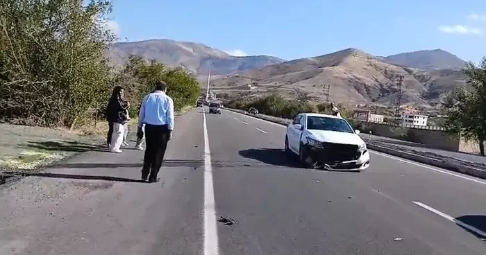 Elazığ’da otomobil köpeğe çarptı: 1 yaralı