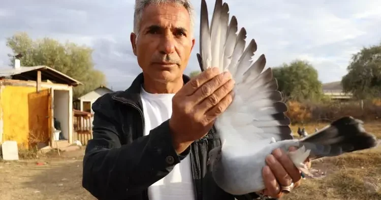 Dünya Sivas Efsanesi’nin peşinde! Değeri yarım milyonu aştı