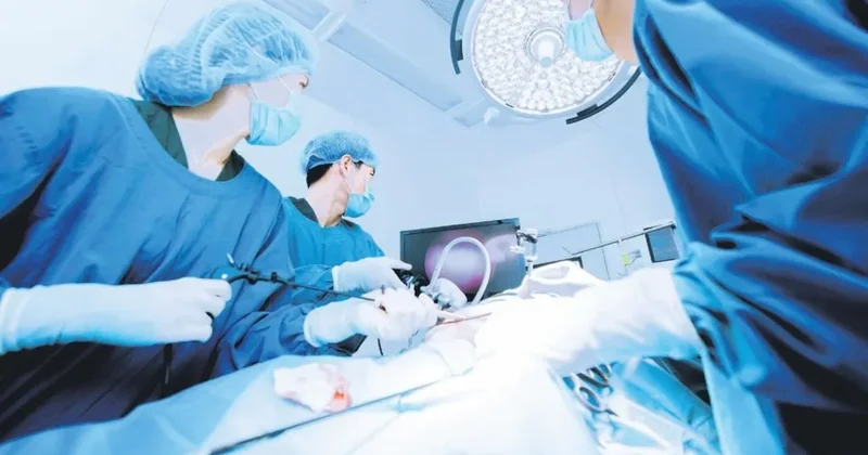 Türk jinekoloji cerrahları üreme sağlığında dünyanın en iyileri