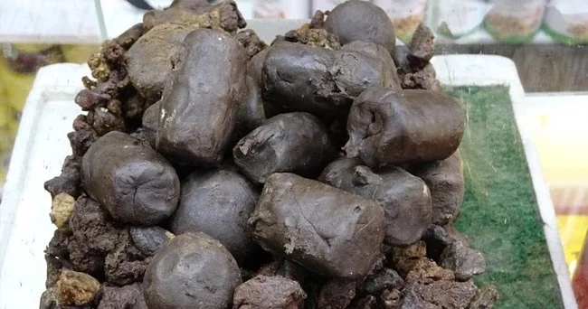 Bin bir emekle temize çekiliyor, 50 gramını bin 250 liradan satıyor Bunu uzaya çıkmış olan Alper Gezer Avcı ya ulaştırmak istiyorum