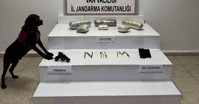 Van da 4 kilo 311 gram skunk ele geçirildi Van Haberleri