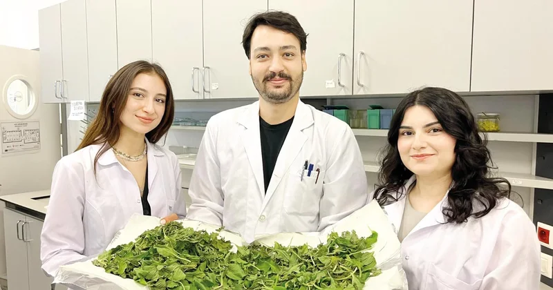 Anneanne karışımı umut oldu