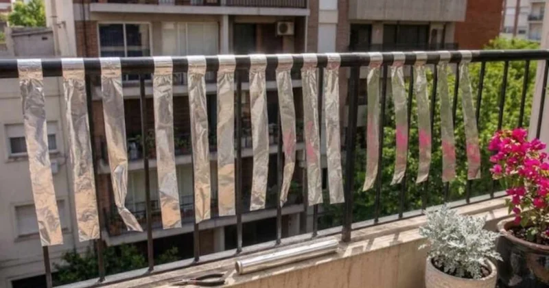 Pazartesi günü balkon demirlerine alüminyum folyo sarın çağrısı Sözcü Gazetesi
