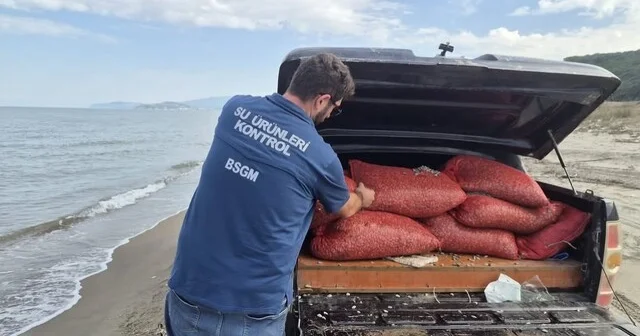 Bursa da kaçak avcılığa geçit yok: 2 ton 760 kilo kum şırlanı doğaya bırakıldı Bursa Haberleri Habertürk Yerel Haberler