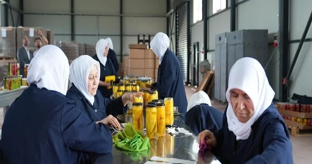 Tarlada kalan meyve ve sebzeler, kadınların elinde yeni nesil turşuya dönüşüyor Bursa Haberleri Habertürk Yerel Haberler