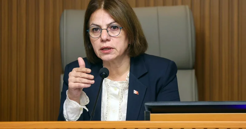 Maltepe Belediye Başkanı Köymen, Yeni Parti ye katıldı